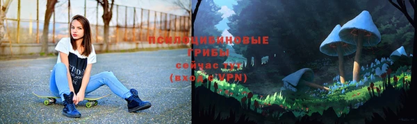 круглые Аркадак