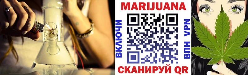 Бошки марихуана Ganja Сясьстрой